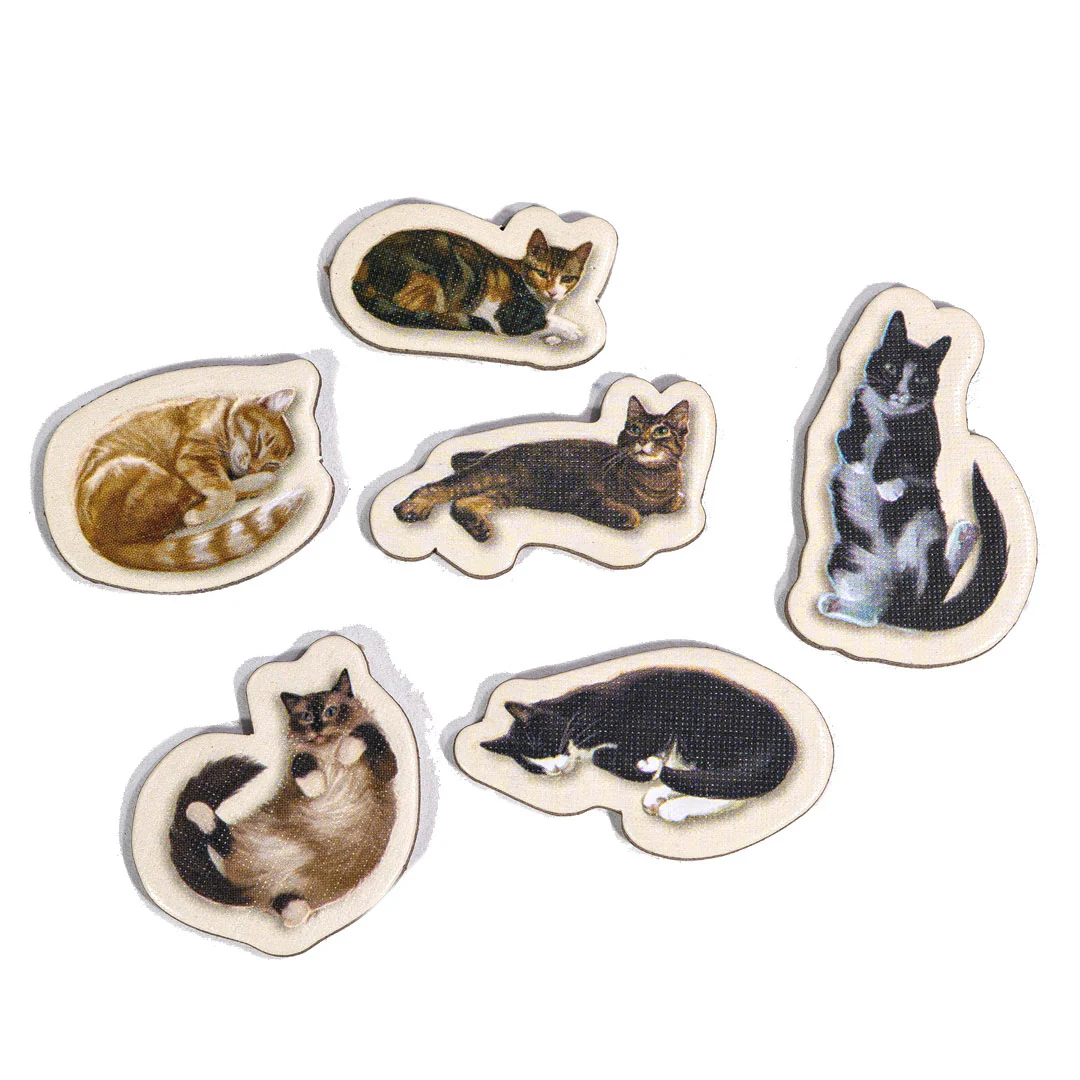 Calico - Image 6