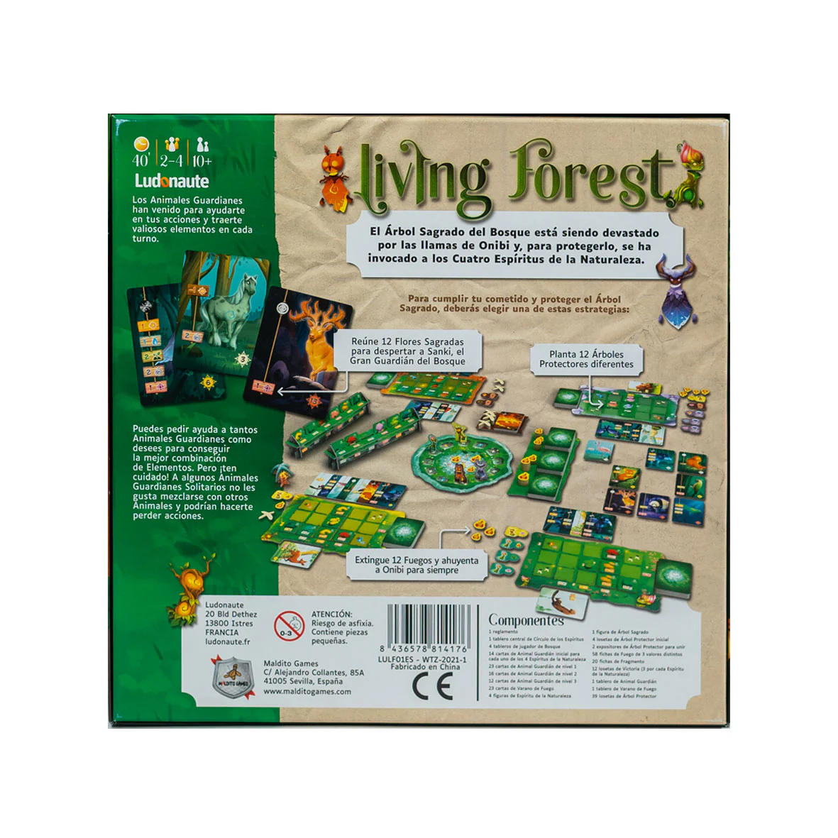 Living Forest - Image 4