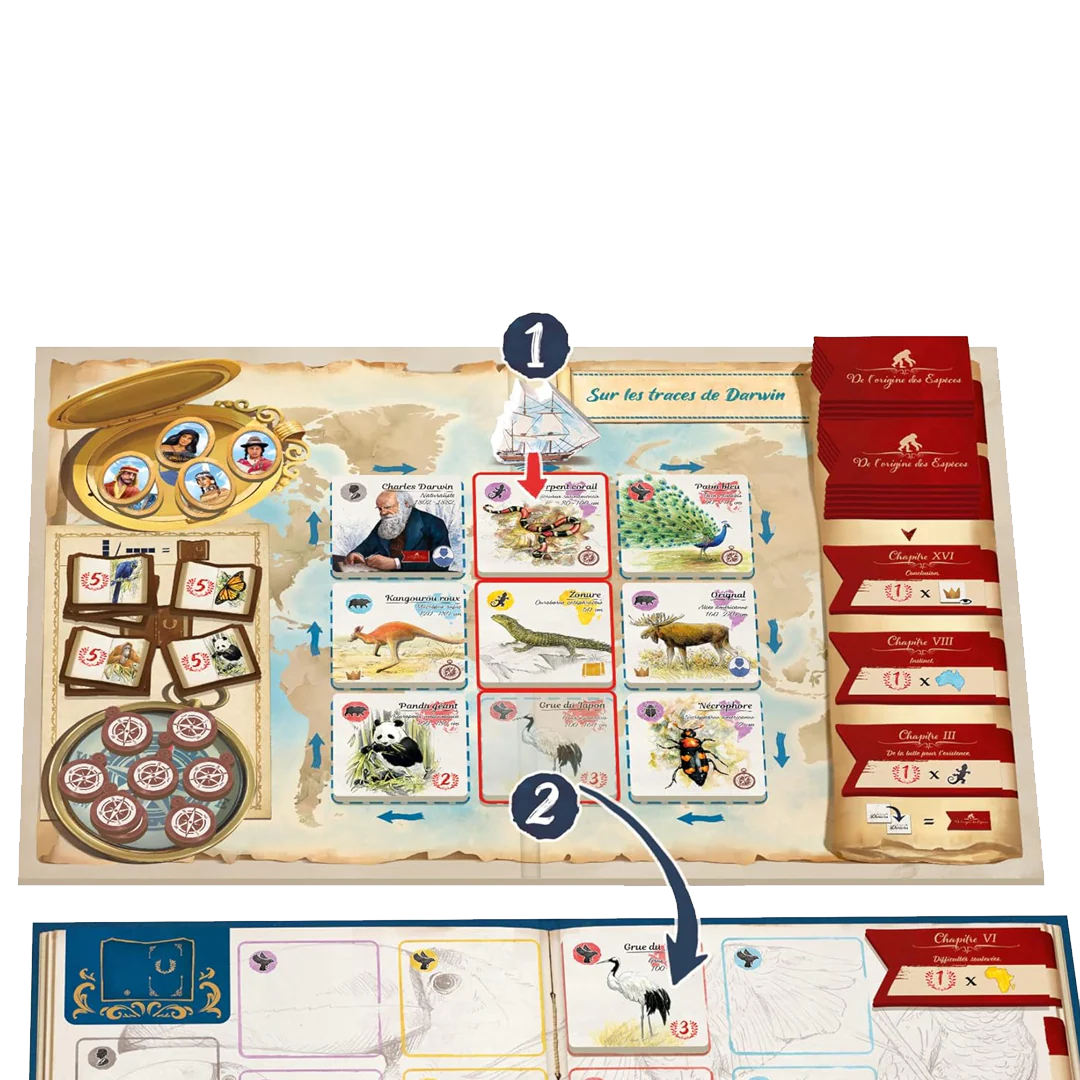 Tras los pasos de Darwin - Image 3